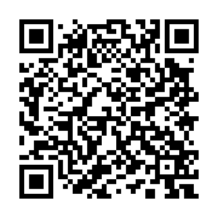 QR code for 119063
