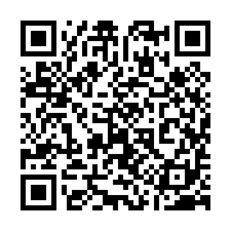 QR code for 119091