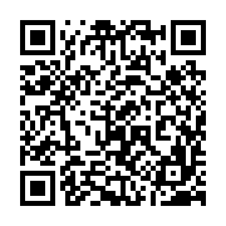 QR code for 119296
