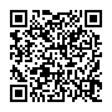 QR code for 119306