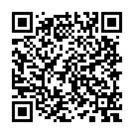 QR code for 119594