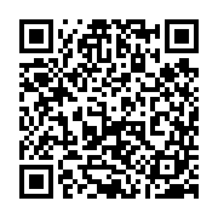 QR code for 119641