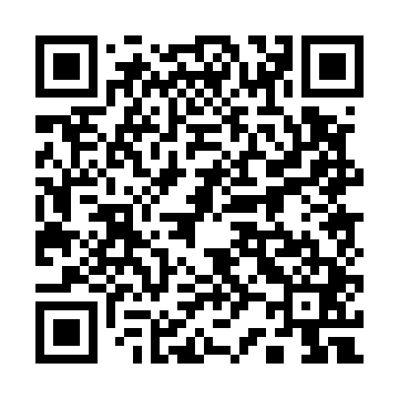 QR code for 120541