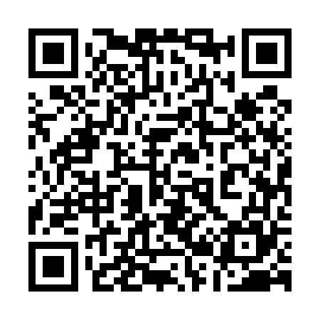 QR code for 125565