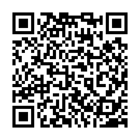 QR code for 125738