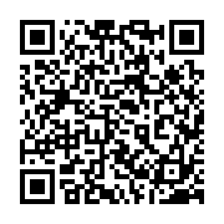 QR code for 126333
