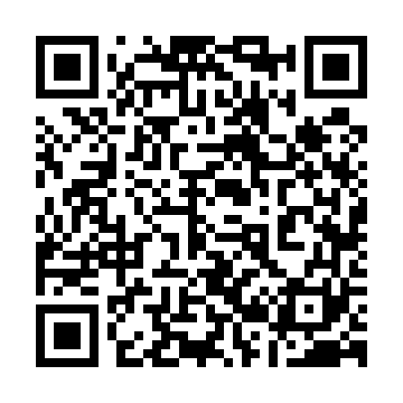 QR code for 126561