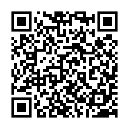 QR code for 126595