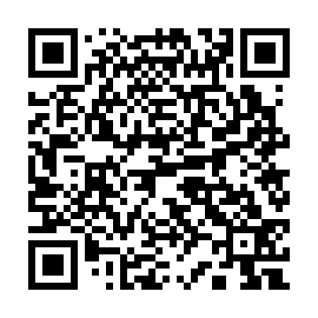 QR code for 127333