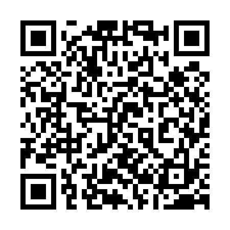 QR code for 127533