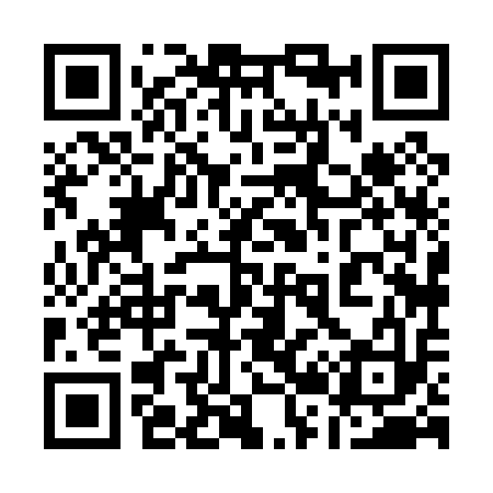 QR code for 128013