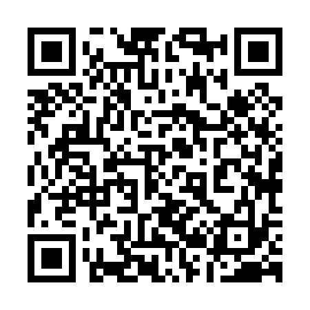QR code for 128033
