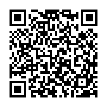 QR code for 128067