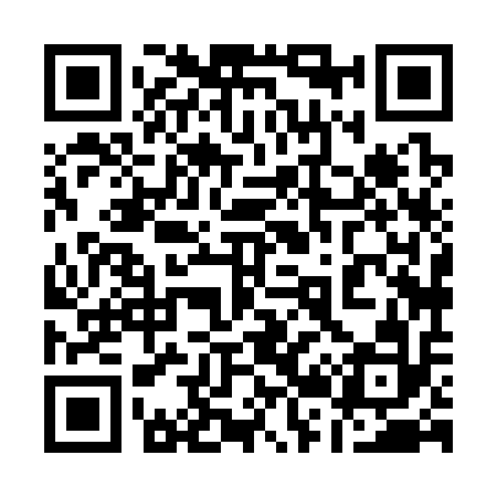 QR code for 128312