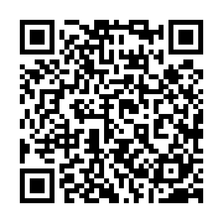 QR code for 128525