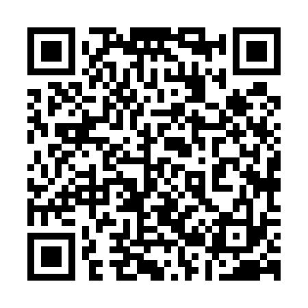 QR code for 128533