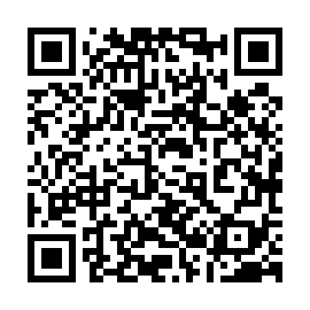 QR code for 128579