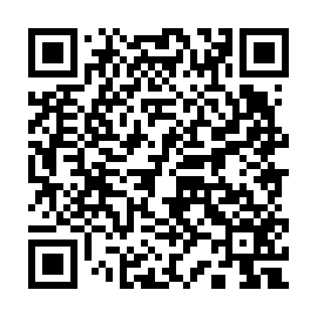 QR code for 128656