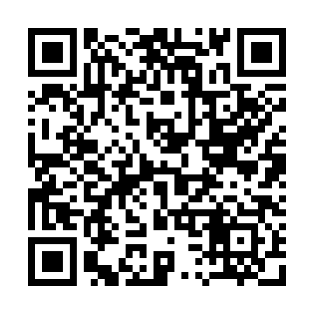 QR code for 132383