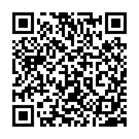 QR code for 133251