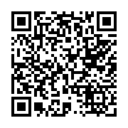 QR code for 133667