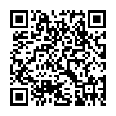 QR code for 138541