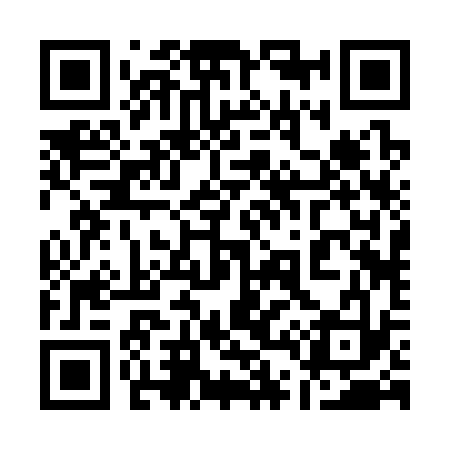 QR code for 142333
