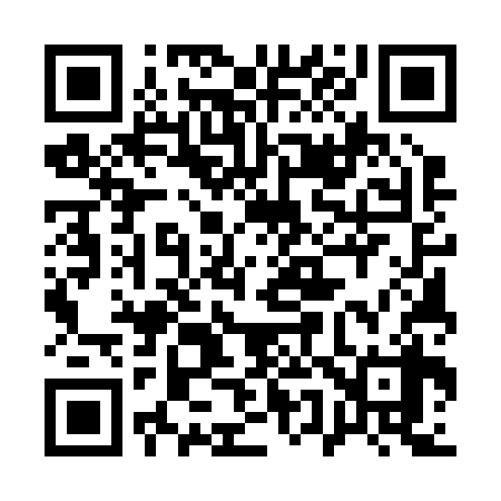 QR code for 155238