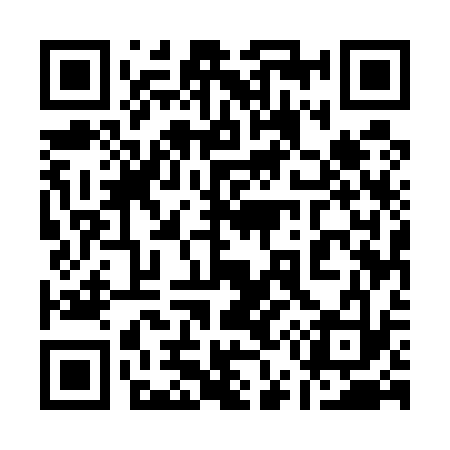 QR code for 155533