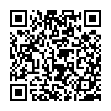 QR code for 155541
