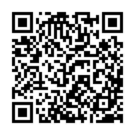 QR code for 160383