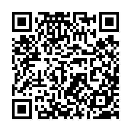 QR code for 160685