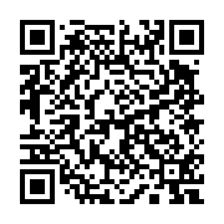 QR code for 161411