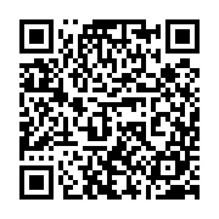 QR code for 161545