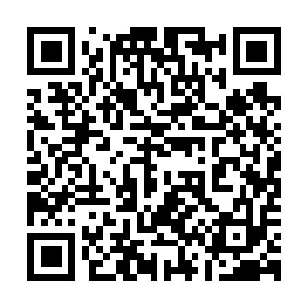QR code for 161613