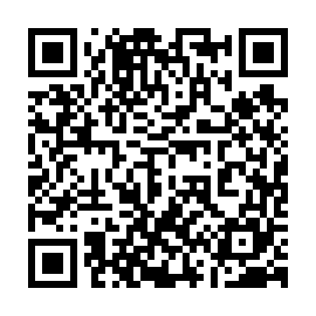 QR code for 161665