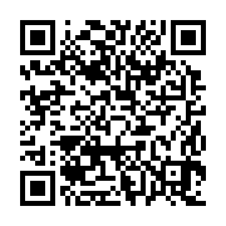 QR code for 162383