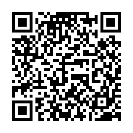 QR code for 163217