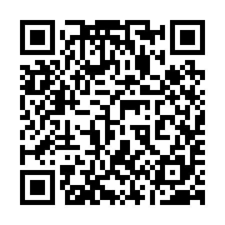 QR code for 163295