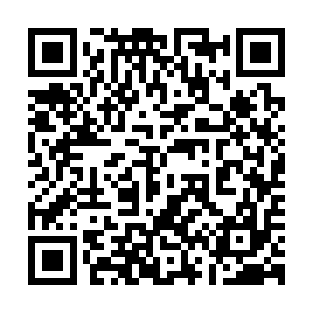 QR code for 163317