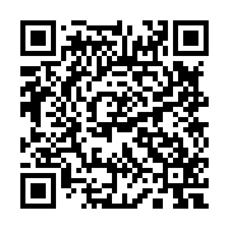 QR code for 163817