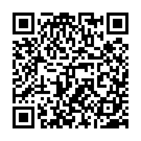 QR code for 166541
