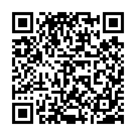 QR code for 166617