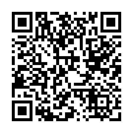 QR code for 168333