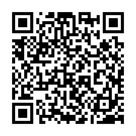 QR code for 172333