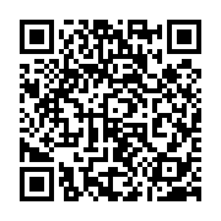 QR code for 173538