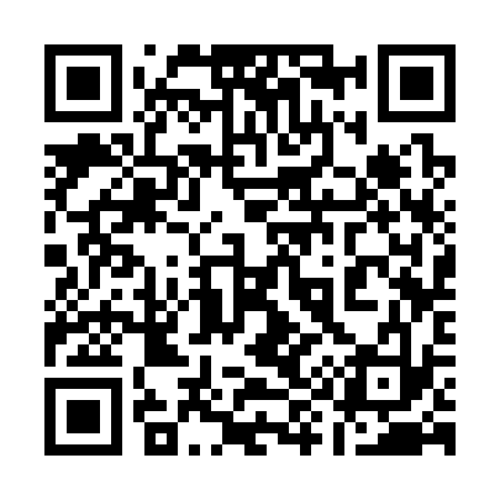 QR code for 193333