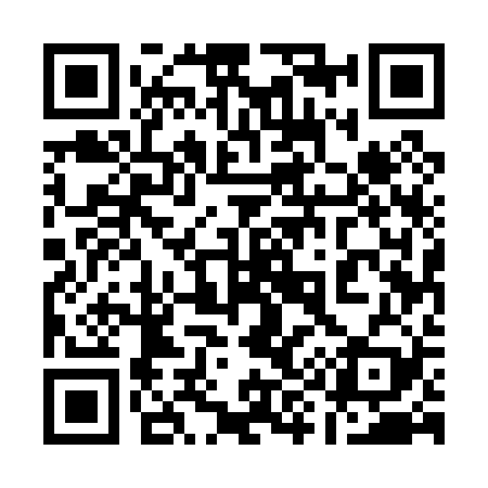 QR code for 195029