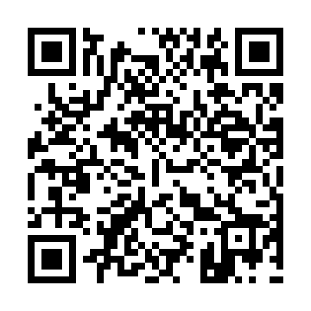 QR code for 195228