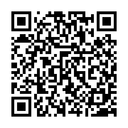 QR code for 195295